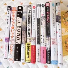 ボーイズラブ漫画セット 11冊 未開封