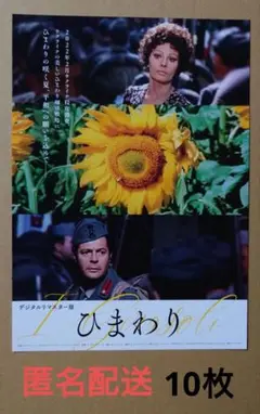 (未使用･未開封品)　ひまわり HDニューマスター版 [DVD] og8985z 新品】【廃盤】ひまわり＜HDニューマスター版＞ソフィア