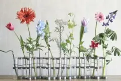 2025年最新】四月の花器 ツェツェの人気アイテム - メルカリ