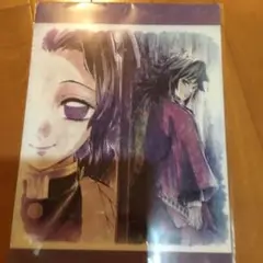 冨岡義勇＆胡蝶しのぶ 那田蜘蛛山編 提供イラスト A4クリアファイル 鬼滅の刃