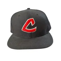 Item thumbnail for item 302c4bc7-7a57-4666-9863-a878e48bd473