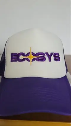 あじさい　ecosys エコシス　メッシュキャップ 2025年最新】ecosys キャップの人気アイテム - メルカリ