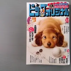 ビッグコミックオリジナル　8月20日号　16号　最新号　本日発送