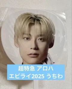 EBiDAN THE LIVE エビライ 2025 うちわ 超特急 アロハ