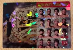 RIZIN ポテトスティック ポスターカードコレクションNo.30シークレット