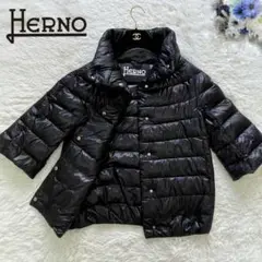 ヘルノ HERNO ダウン ブラック サイズ40 ダウンジャケット