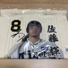 Item thumbnail for item db58bdbc-45c0-4b5f-8307-8a48f399f454