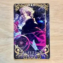 PSA10 カレイドスコープ フェイタル 概念礼装 PSA10 カレイドスコープ フェイタル 概念礼装の通販 by 海木さん