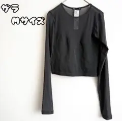Item thumbnail for item bec720ab-373d-4273-98f6-793ce4ede6f8