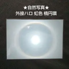 Item thumbnail for item 0d13a2cc-df72-4004-beab-289b04c827f6