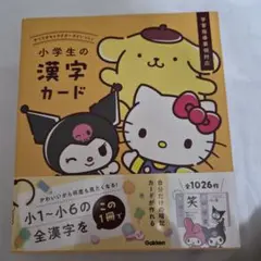 サンリオキャラクターズといっしょ 小学生の漢字カード