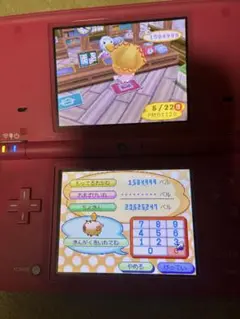 おいでよどうぶつの森！2000万所持