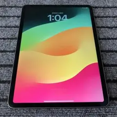 45 【早い者勝ち】 iPad Pro 11 1世代 256GB スペースグレイ