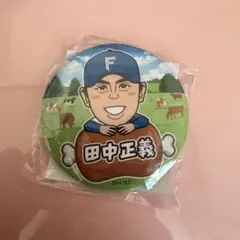 北海道日本ハムファイターズ 田中正義 缶バッジ ガチャ 北海道肉祭り