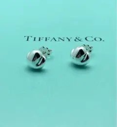 Tiffanyu0026 Co. ティファニー ナゲット ピアス SV925