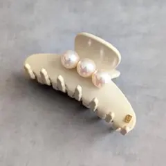 Item thumbnail for item 70c33f2d-90db-4db7-9f13-48553a509601