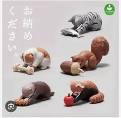 お納めください。ガチャ　レッサーパンダ✖️2 りす　セット