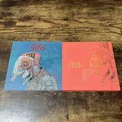 米津玄師/STRAY SHEEP アートブック盤 外袋・Blu-ray付き