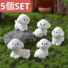 5個セット　プードル　ミニチュア　オブジェ インテリア 置物 ミニチュア 犬 白