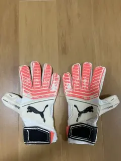 プーマ ワン puma one GKグローブ