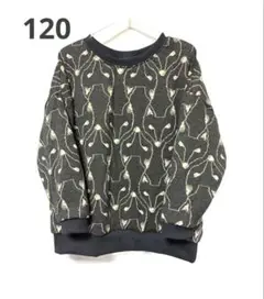 Item thumbnail for item fc902ccf-1f26-4624-b5fd-80eace021b29