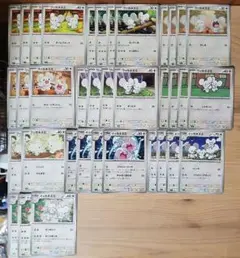 N201 ワッカネズミ イッカネズミ 進化ライン ポケモンカード ポケカ