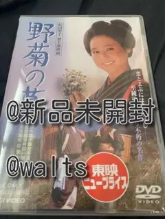 野菊の墓 [DVD