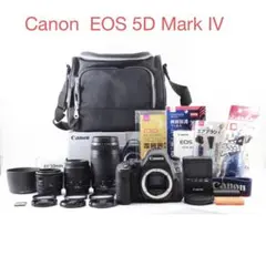 Item thumbnail for item 5b034734-4d54-403b-b450-e2b7cf31d39c