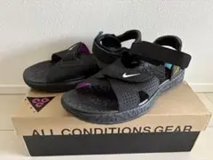 【即発送】NIKE ACG AIR DESCHUTZ BLACK purple