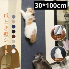 Item thumbnail for item 06ee9eea-e7bf-4e77-b3a9-a0cb62698af6