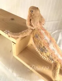 羊毛フェルトでフトアゴヒゲトカゲ①