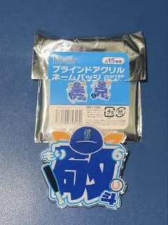 横浜DeNAベイスターズ ブラインドアクリルネームバッジ 森敬斗