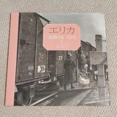エリカ 奇跡のいのち