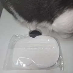 Item thumbnail for item 82163192-b536-4f6e-ac06-092894cdbe6e