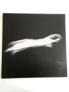 2025年最新】dir en grey 落ちた事のある空の人気アイテム