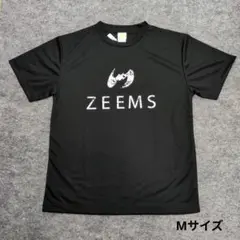 ジームス　Tシャツ/パンツセット XLサイズ Zeems Mサイズのみ 在庫処分 ジームス 野球 半袖Tシャツ 半袖