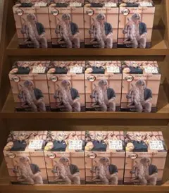 Item thumbnail for item 880b8e1a-6cd6-499c-b921-55f4c2e92591