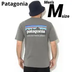 【極美品】パタゴニア　Patagonia　Tシャツ　グレー　M　P6ミッション