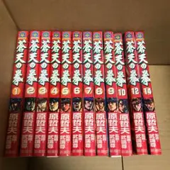 蒼天の拳 1-10 12 14