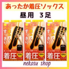 Item thumbnail for item 528c0485-59f1-4b99-9af5-009a959682f8