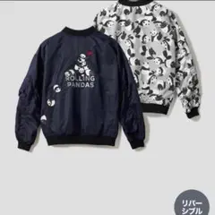 Item thumbnail for item 45b9d9f4-e5b3-4217-8b01-692e497b5b94