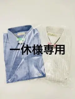 ゼニア Zegna シャツ 2枚セット Lサイズ（半袖＆長袖）