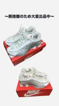 Item thumbnail for item 0b468723-d13a-4a69-8c86-d83ef8f1b86e