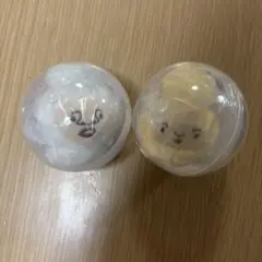 こびとづかんのぬいぐるみ3