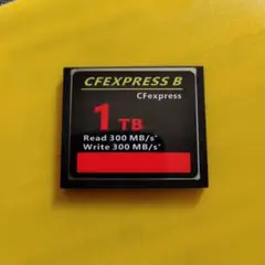 CFカード 1TB コンパクトフラッシュ 300mb/s