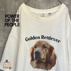 【アメリカ綿】メンズ 半袖 Tシャツ ゴールデンレトリバー 犬 古着