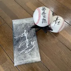 1995年 メモリアルホームラン サインボール2個セット