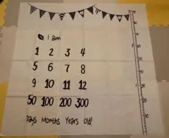 月齢フォトシーツ マンスリーフォト 100cm×100cm ★おまけつき