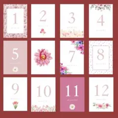 7.マンスリーカード 月齢カード（ピンク お花 flower シンプル)