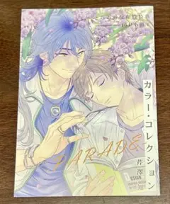 芹澤知　カラーコレクション　本&グッズセット